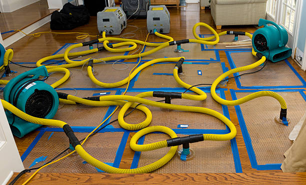 Professional Water Extraction technician working in Chatham, IL
